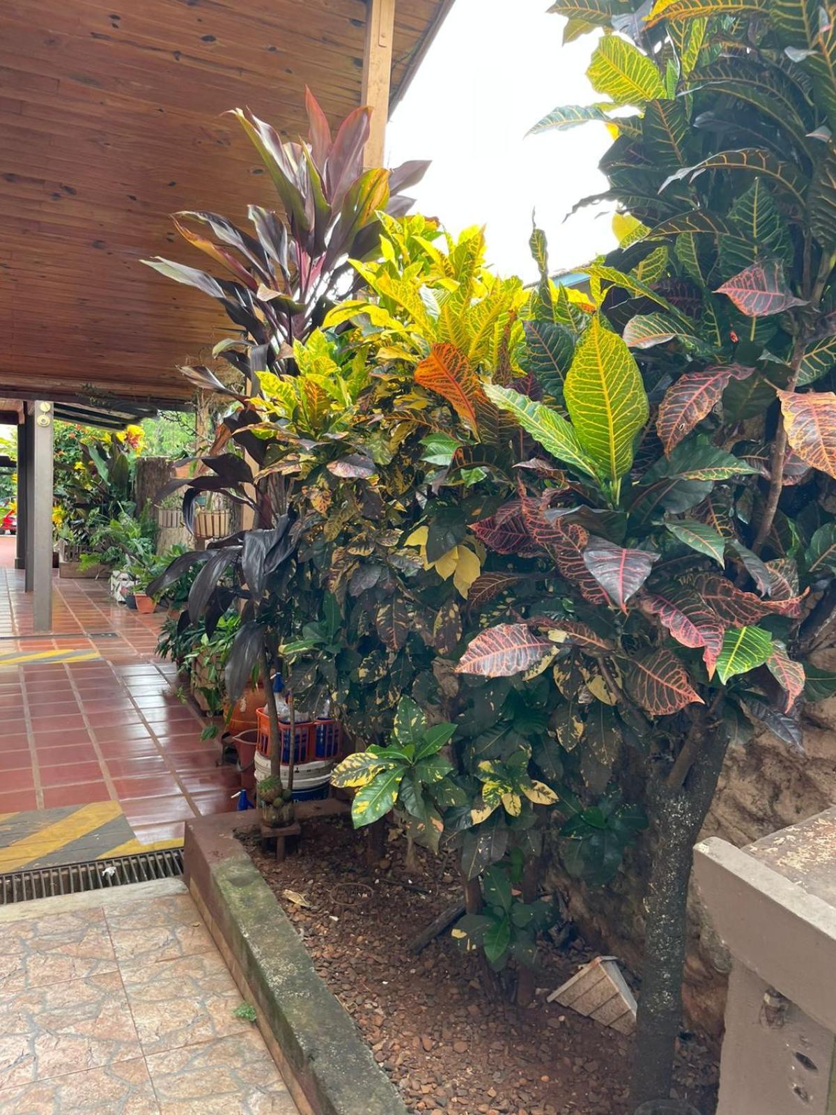 Hotel Residencial Arcoiris Puerto Iguazú Exterior foto